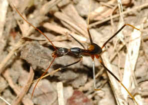 DSC_3480.jpg (127549 bytes)