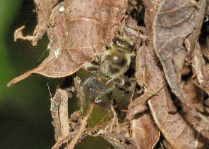 DSC_9807.jpg (225858 bytes)