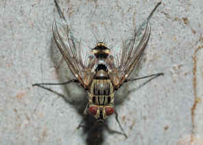 DSC_7671.jpg (472060 bytes)